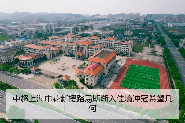 中超上海申花新援路易斯渐入佳境冲冠希望几何